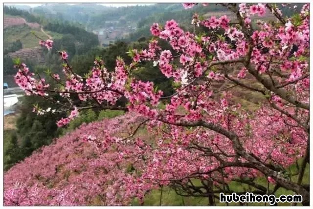 青岛周边高铁游 青岛周边高铁