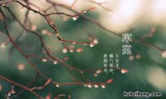 寒露生活中要注意什么 寒露要注意啥饮食
