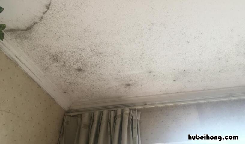 房屋漏水保质期是几年 房屋漏水保质期从什么时候算