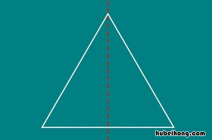 对称轴有什么定义 对称轴只有一条