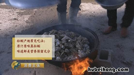 牡蛎怎么样看是不是新鲜的 牡蛎啥样的好