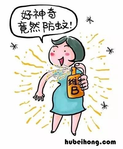 灭蚊最有用的方法 灭蚊效果最好的