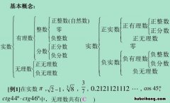 实数是什么 实数的符号怎么读