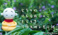 宠辱不惊闲看庭前花开花落下一句是什么 宠辱不惊看庭前花开花落是谁的诗