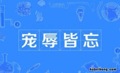 宠辱皆忘怎么造句 宠辱皆忘怎么造句二年级