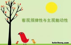 客观与主观的区别是什么 客观与主观的区别