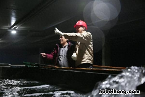 写推文的步骤思路 如何写出好的推文文章