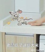 灭鼠最快最有效的方法 老鼠怕什么气味一闻就跑