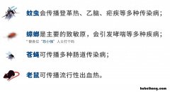 防虫防病 防虫物品有哪些?