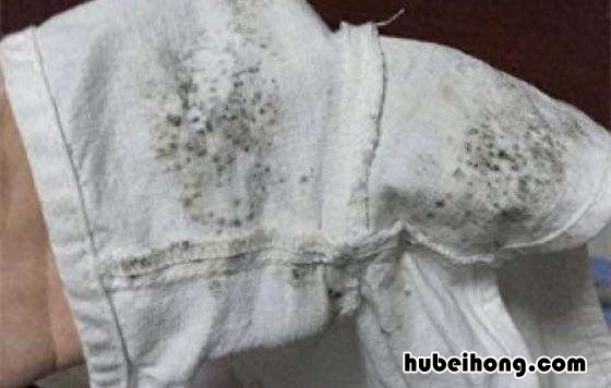 屋子太潮衣服上长了霉点怎么办 屋子太潮衣服上长了霉点还能穿吗