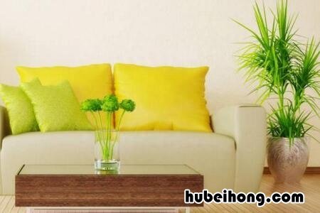 油漆味怎么消 油漆味很大怎么样快速去味