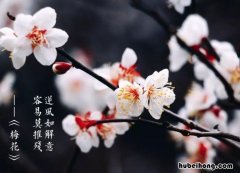 容易莫摧残的上一句是什么 莫将容易的