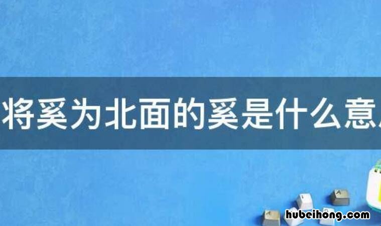 将奚为北面中奚的意思是什么 南辕北辙中的将奚为北面的奚是什么意思