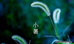 小暑文案有哪些 关于小暑的说说简短