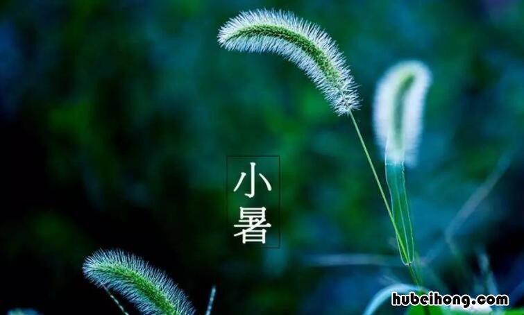 小暑文案有哪些 关于小暑的说说简短