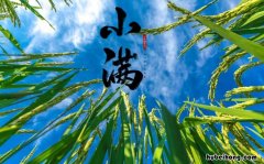 小满的古诗有哪些 古诗《小满》