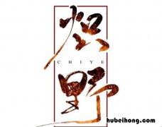 小说《炽野》内容简介是什么 炽野讲的是什么内容