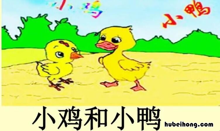小鸡和小鸭作文怎么写 小鸡和小鸭的作文