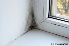 雨季鞋子发霉怎么清洗 雨天鞋子发霉