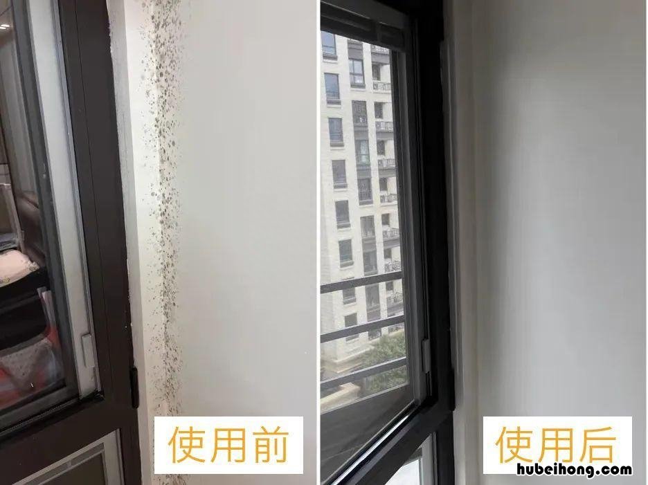 油漆涂料做法 油漆选哪种好