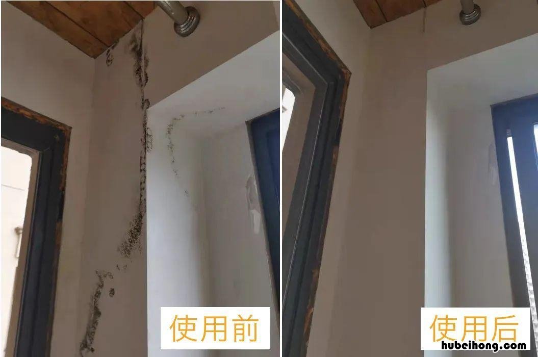 油漆涂料做法 油漆选哪种好
