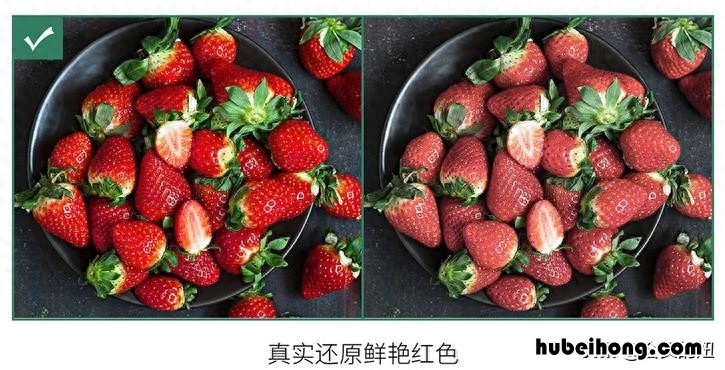 射灯选什么光源 射灯性能