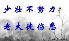 少壮不努力老大徒伤悲是谁写的 少壮不努力是谁写的名言
