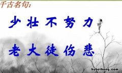 少壮不努力老大徒伤悲类似的句子有哪些 岳飞莫等闲白了少年头空悲切的意思