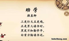 少年不知勤学苦的下一句是什么 少年不知勤学苦后面一句是什么