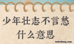 少年壮志不言愁什么意思 鲜衣怒马少年时,不负韶华行且知