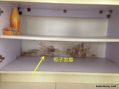 衣柜潮湿发霉怎么办 衣柜发霉了怎么办小妙招