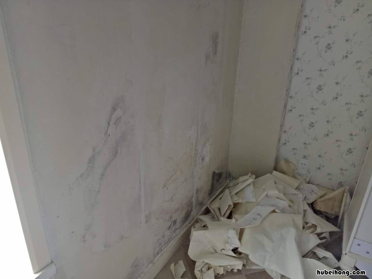 衣柜潮湿发霉怎么办 衣柜发霉了怎么办小妙招