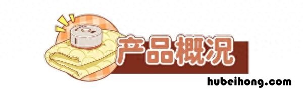 水暖电热毯技术成熟吗 水暖电热毯对身体有什么影响