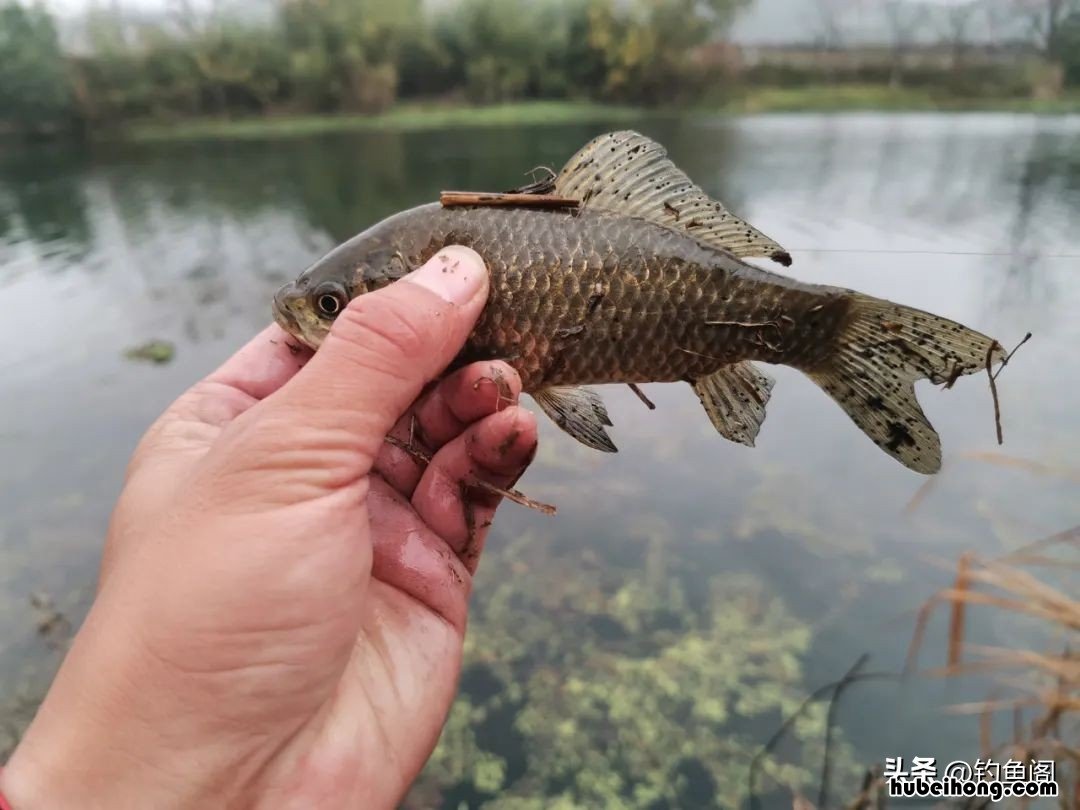 钓鱼如何探测水深 探险钓鱼