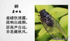 居高声自远出自哪首诗 居髙声自远全诗