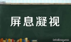 屏息凝视怎么造句 屏息凝视是形容人的神态吗