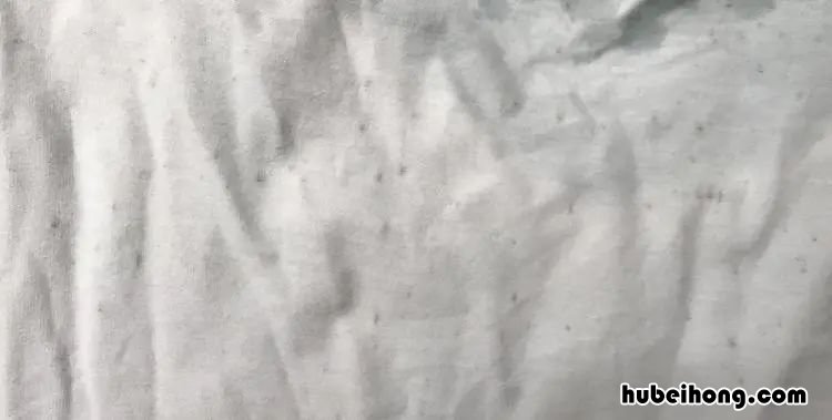 白衣服发霉变黄怎么洗掉霉斑 白色衣服发黄发霉了怎么可以洗白