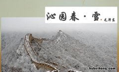 山舞银蛇是什么意思 山舞银蛇是什么动物
