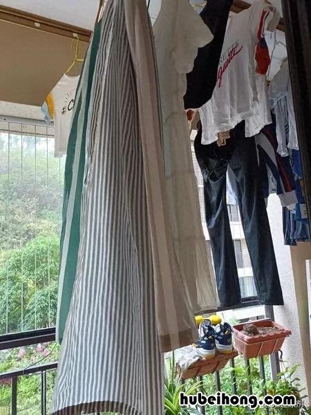 衣服发霉该怎么清洗 衣服发霉要怎么去掉