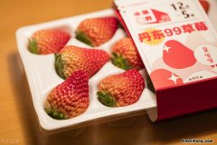 丹东99草莓现在多少钱一斤 丹东99草莓由来