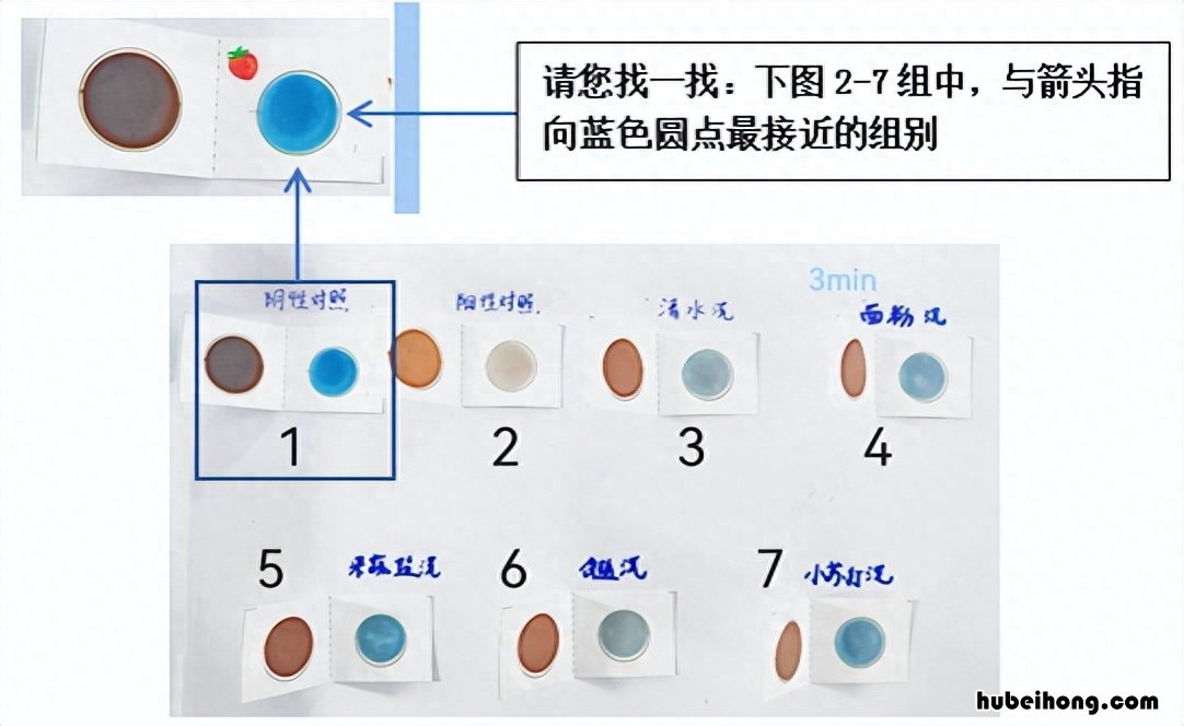 草莓如何越夏 草莓要怎么养护