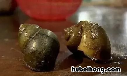 夏季实用防虫药物 夏季防虫指南