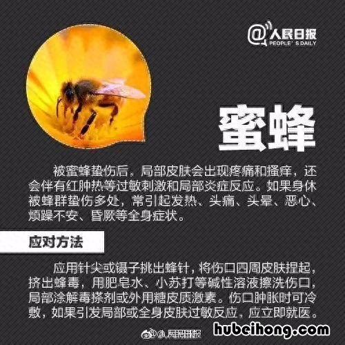 夏季实用防虫药物 夏季防虫指南