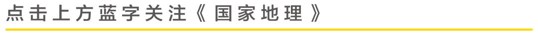 又被李佳琦种草了,豆浆机的天花板,早餐和养生全搞定!