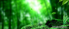 如何洗掉染发剂 如何洗掉染发剂的颜色