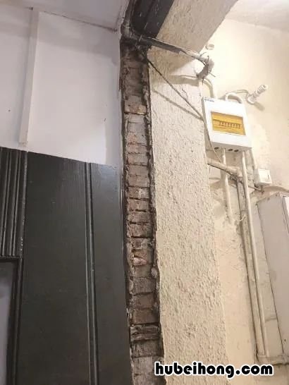 白蚁如何解决 对付白蚁