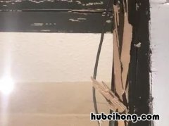 白蚁如何解决 对付白蚁