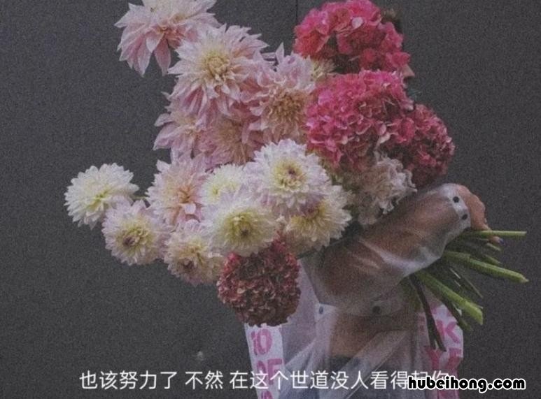 带刺高冷短句有哪些 带刺高冷短句有哪些