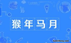 带有猴的四字成语有哪些 带有猴的四字成语大全及解释