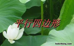 平行四边形对角线平分对角吗 平行四边形的对角平分线互相平行吗